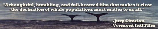 A Life Among Whales - Saving Whales from Whale Extinction